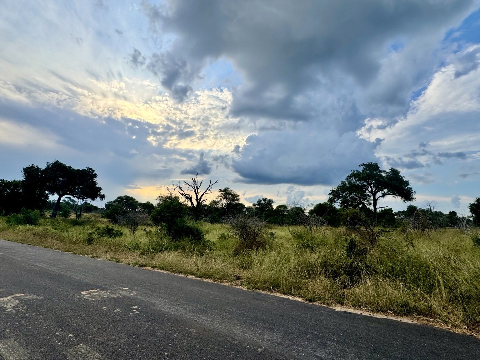 South African road beneath dramatic skies